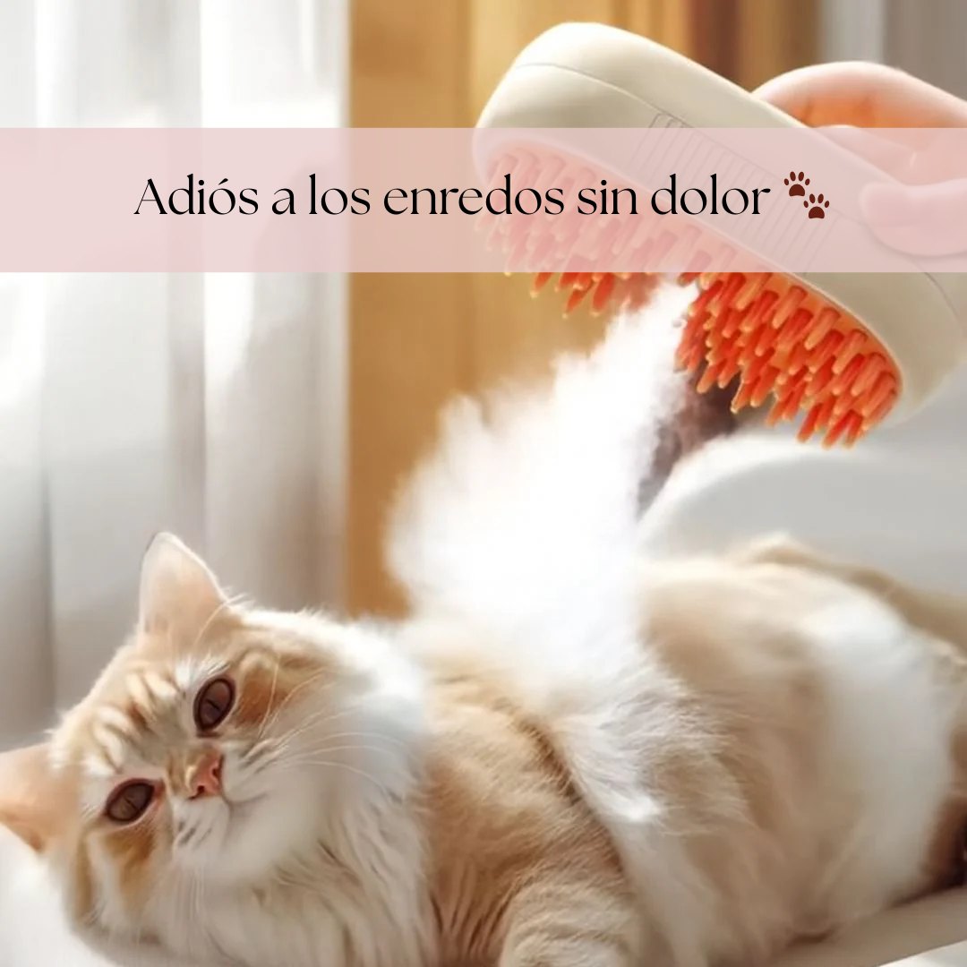 Cepillo a Vapor: porque la compañía se cuida con ternura, relaja a tu mascota y a ti.