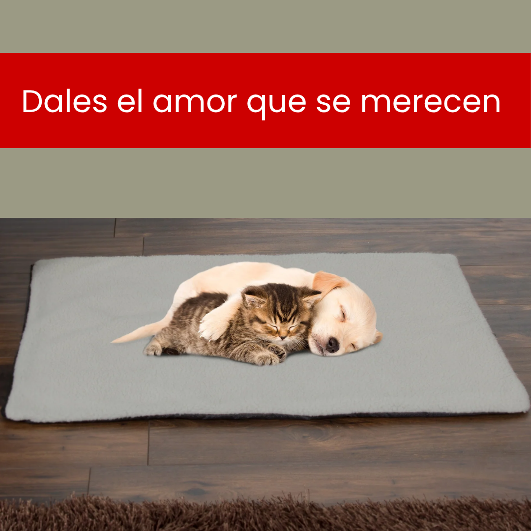 Mantita para mascotas autoabrigadora - sin enchufes😺🐶🐩