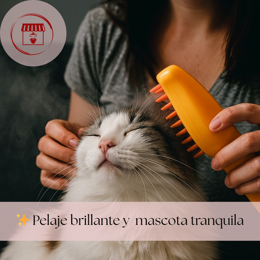 Cepillo a Vapor: porque la compañía se cuida con ternura, relaja a tu mascota y a ti.